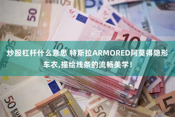 炒股杠杆什么意思 特斯拉ARMORED阿莫得隐形车衣,描绘线条的流畅美学！