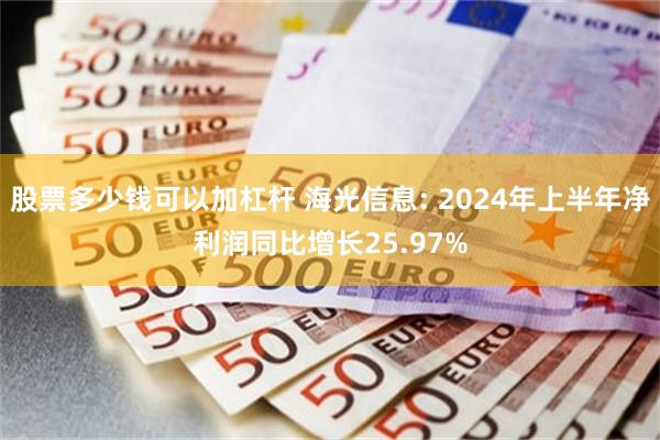 股票多少钱可以加杠杆 海光信息: 2024年上半年净利润同比增长25.97%