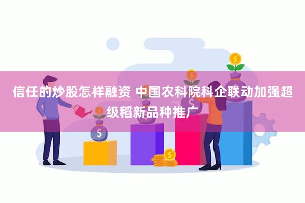信任的炒股怎样融资 中国农科院科企联动加强超级稻新品种推广