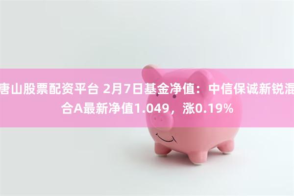唐山股票配资平台 2月7日基金净值：中信保诚新锐混合A最新净值1.049，涨0.19%