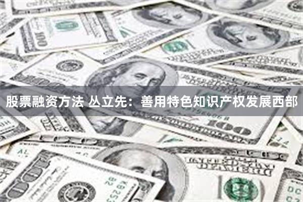 股票融资方法 丛立先：善用特色知识产权发展西部