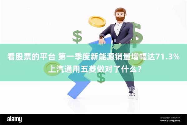看股票的平台 第一季度新能源销量增幅达71.3% 上汽通用五菱做对了什么？