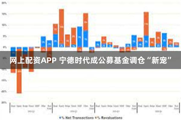 网上配资APP 宁德时代成公募基金调仓“新宠”