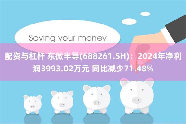 配资与杠杆 东微半导(688261.SH)：2024年净利润3993.02万元 同比减少71.48%