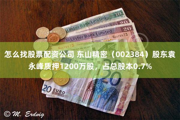 怎么找股票配资公司 东山精密（002384）股东袁永峰质押1200万股，占总股本0.7%